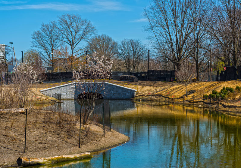 scenic muddy river with blue skies