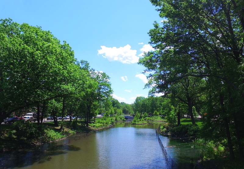 Muddy River Flood Risk Management and Restoration