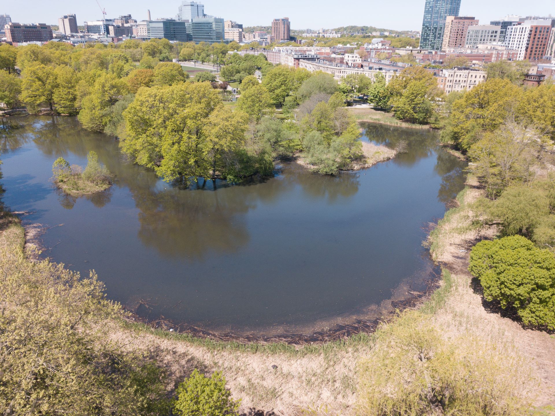 Muddy River Flood Risk Mitigation & Restoration Phase 2 2