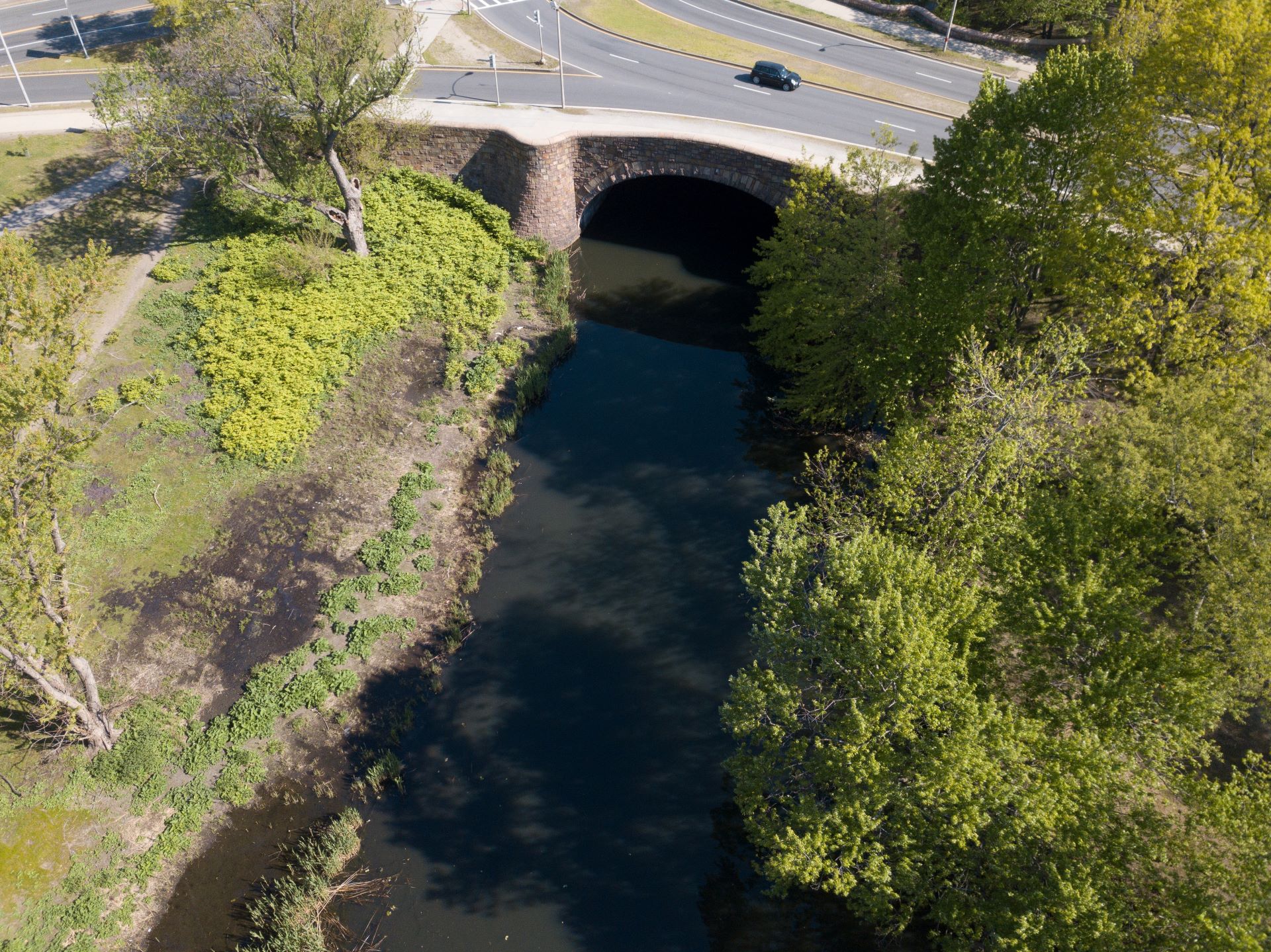 Muddy River Flood Risk Mitigation & Restoration Phase 2 1